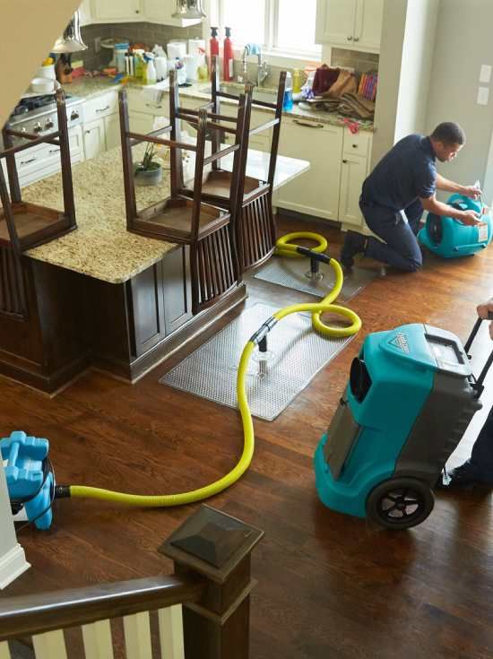 Top Water Damage Removal and Restoration Battle Ground Wa