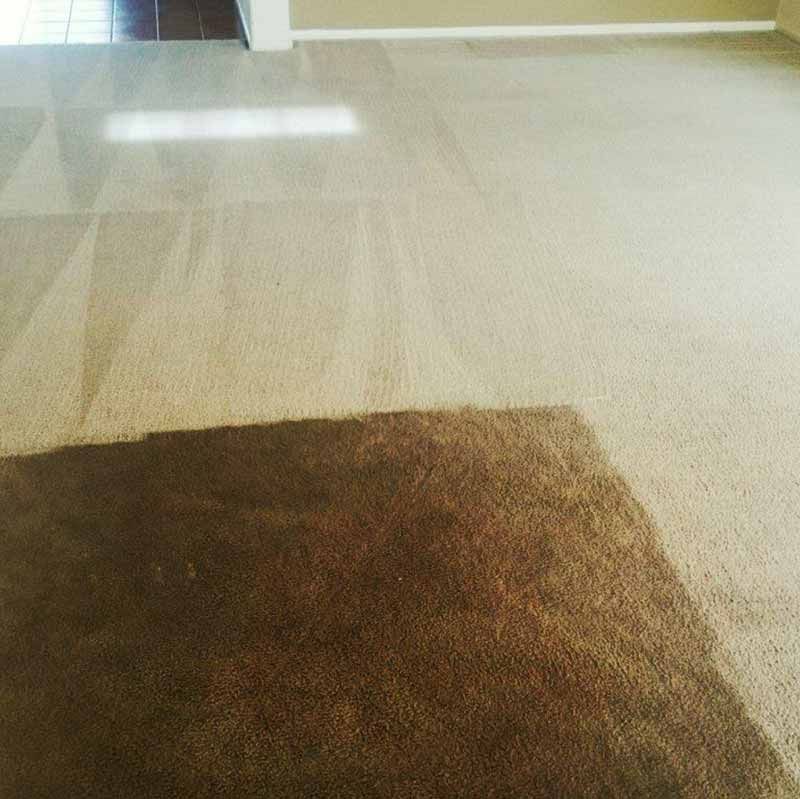 Carpet Cleaning Results 