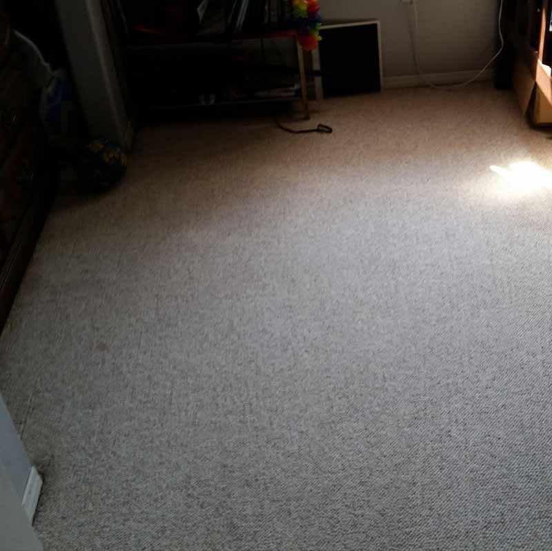 Carpet Cleaning Vancouver Wa Result 3