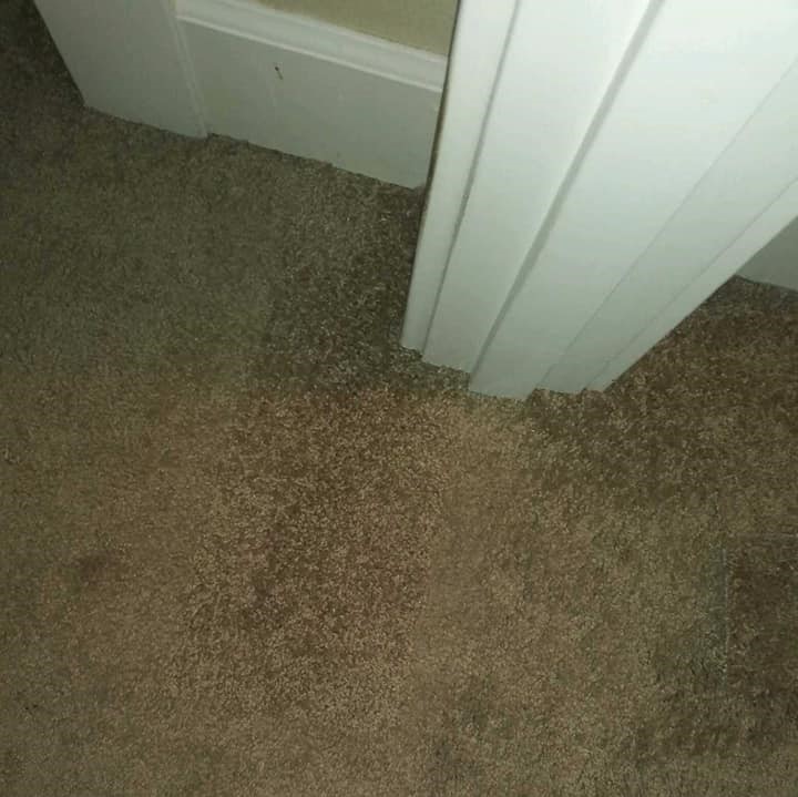 Carpet Repair And Stretching Battle Ground Wa Results 8