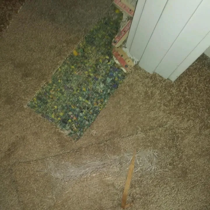 Carpet Repair And Stretching Camas Wa Results 7
