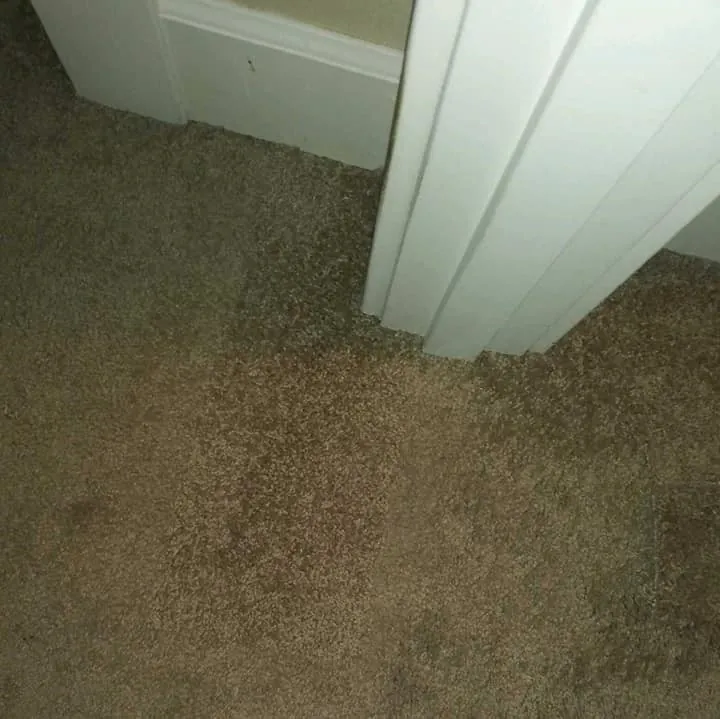 Carpet Repair And Stretching Salmon Creek Wa Results 8