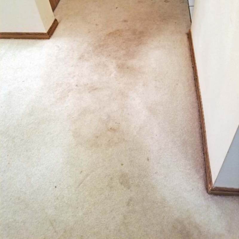 Commercial Carpet Cleaning Camas WA Result 1
