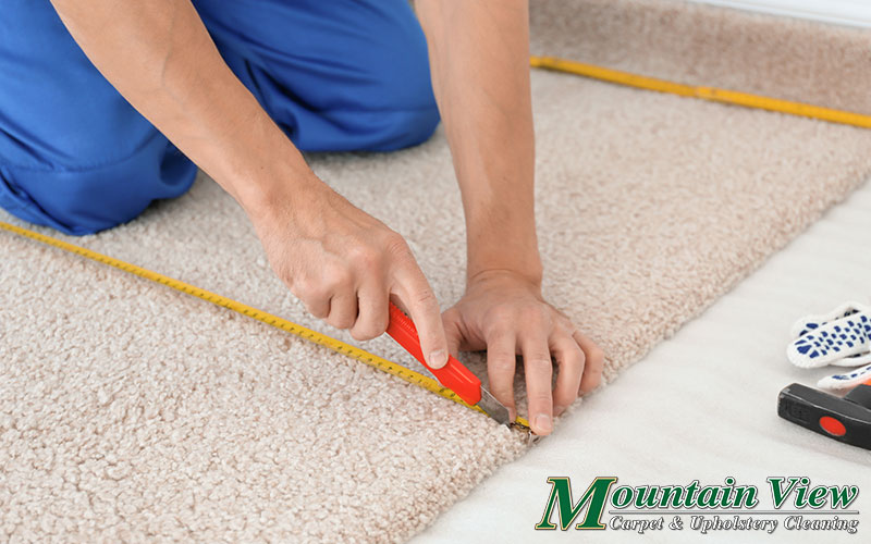 affordable carpet repair and stretching service