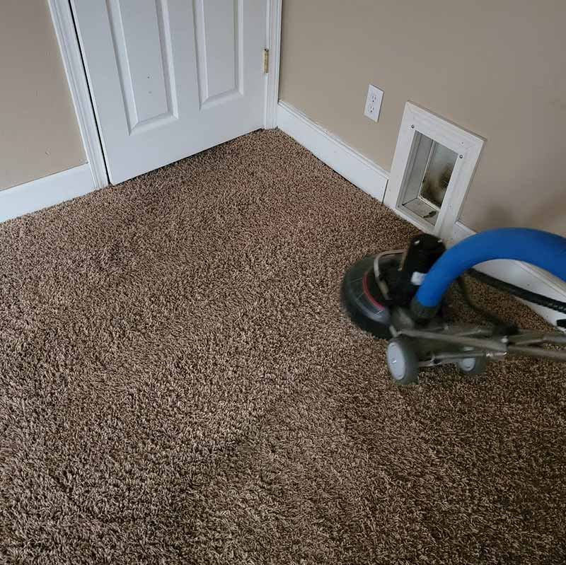 Carpet Cleaning Results