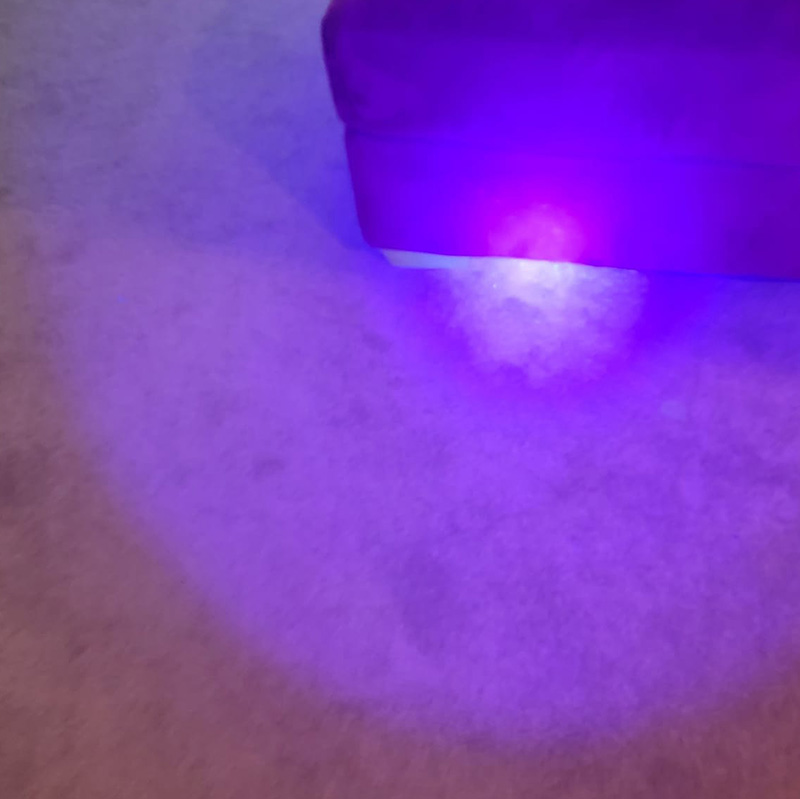 Pet Odor and Stain Detection