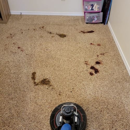 Dark spill stains on a beige bedroom carpet before stain removal, with a cleaning tool in the foreground