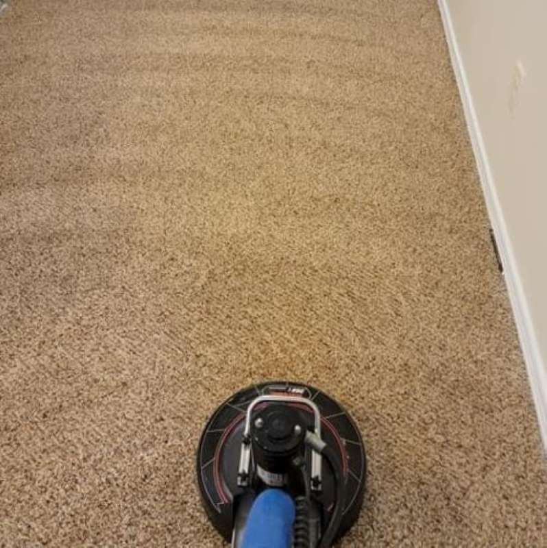 Carpet Cleaning Vancouver Wa Result 8
