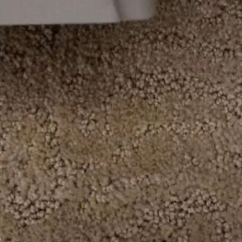 Carpet Repair And Stretching Salmon Creek Wa Result 2