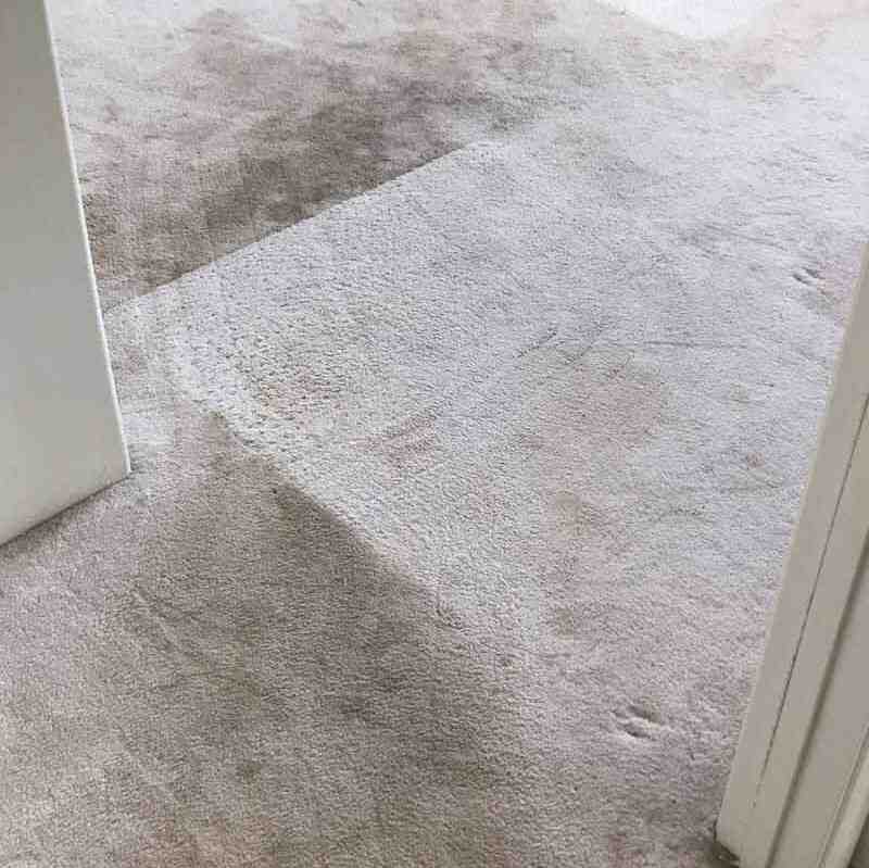 Commercial Carpet Cleaning Felida Wa Result 4