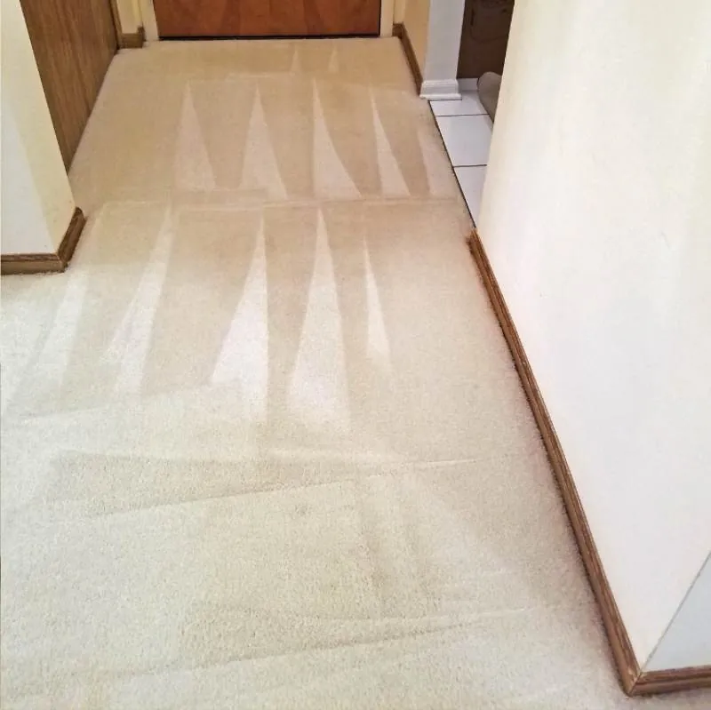 Commercial Carpet Cleaning Ridgefield WA Result 2