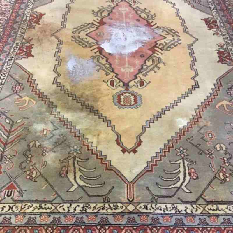 Oriental Rug Cleaning Lake Shore Wa Result 5