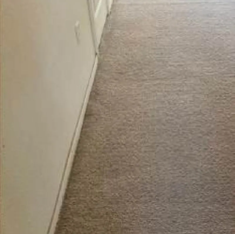 pet urine and odor removal brush-prairie wa result 4