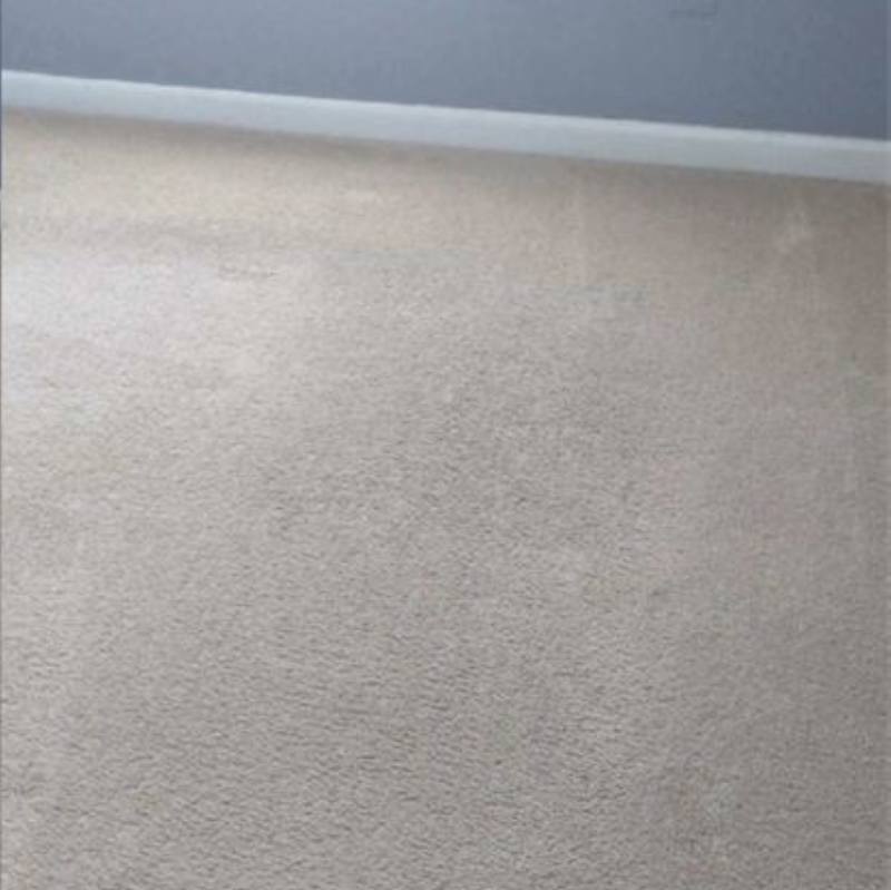 Residential Carpet Cleaning Battle Ground Wa Result 4