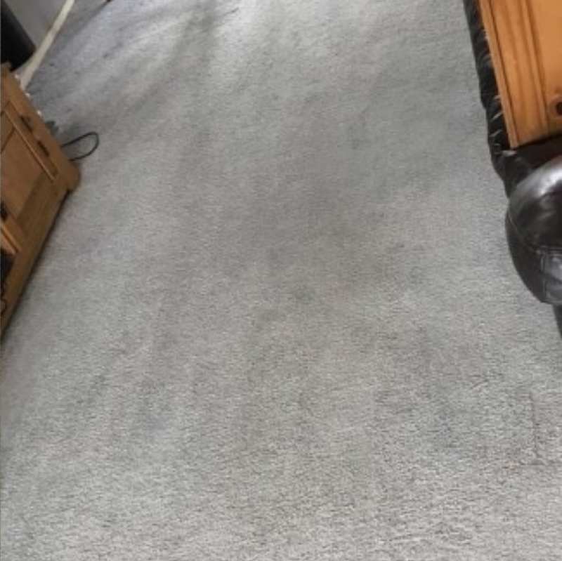 Residential Carpet Cleaning Camas Wa Result 2