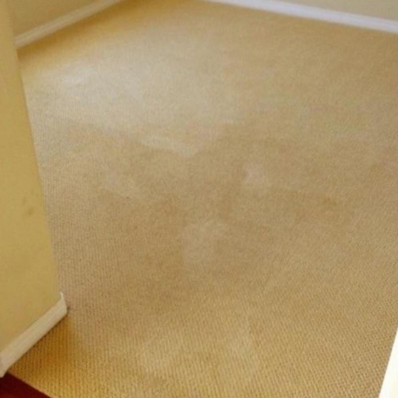 Residential Carpet Cleaning Camas Wa Result 6
