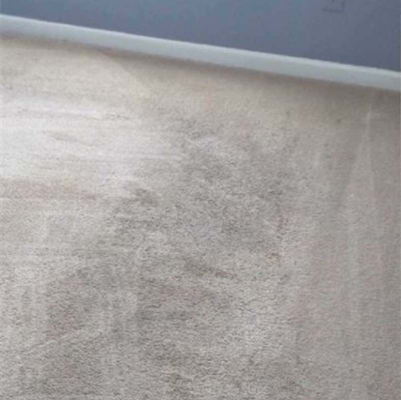 Residential Carpet Cleaning Hazel Dell Wa Result 3