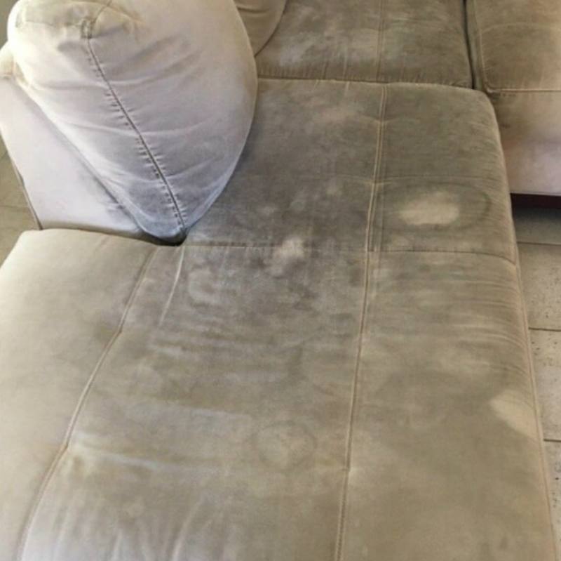 Upholstery Cleaning Battle Ground Wa Result 1