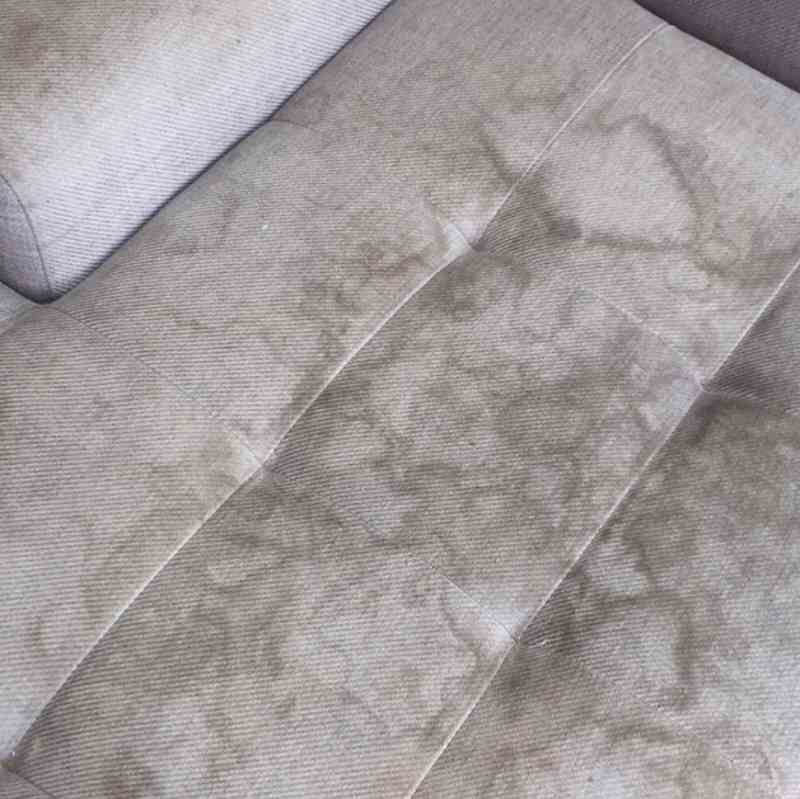 Upholstery Cleaning Battle Ground Wa Result 3