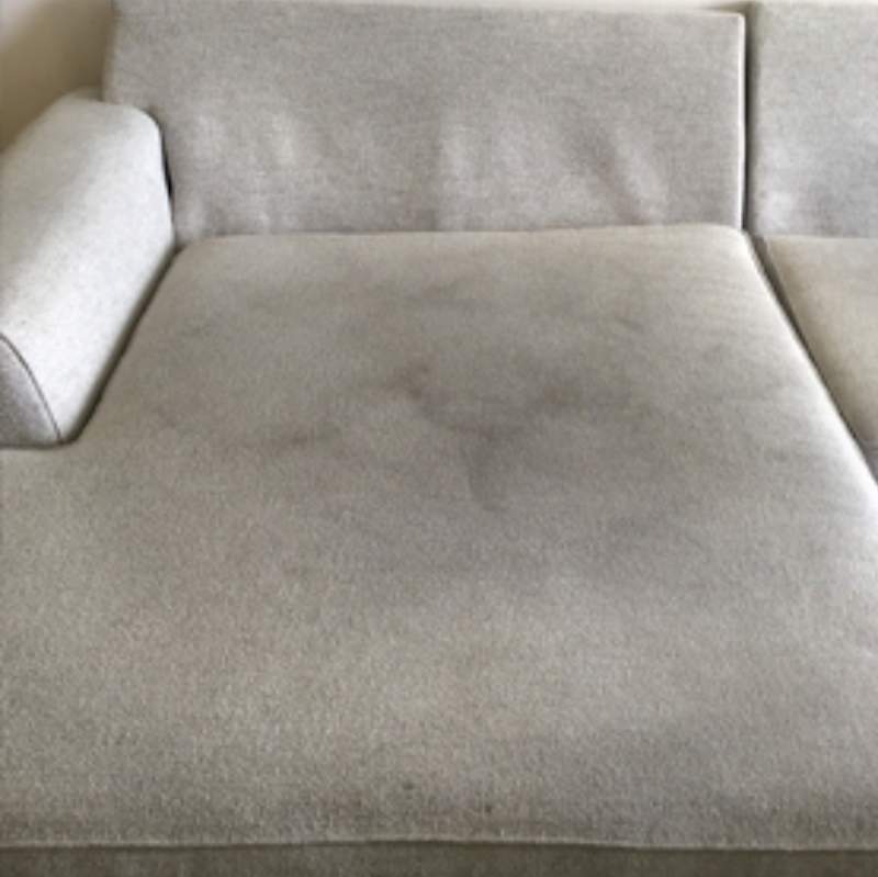Upholstery Cleaning La Center Wa Result 5