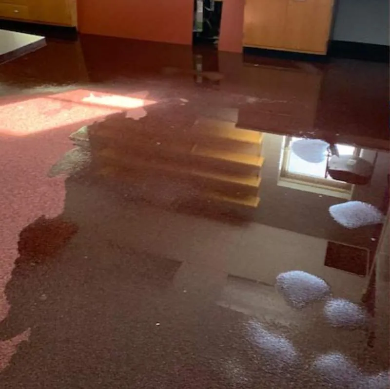 Water Damage Removal and Restoration La Center Wa Result 5