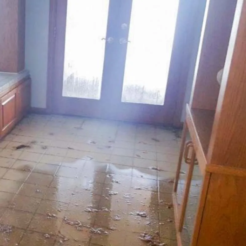 Water Damage Removal and Restoration Salmon Creek Wa Result 1